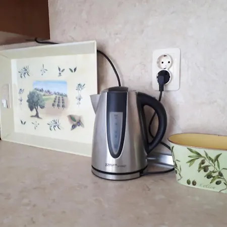 Tatyana Studio Oliva 奥布佐尔